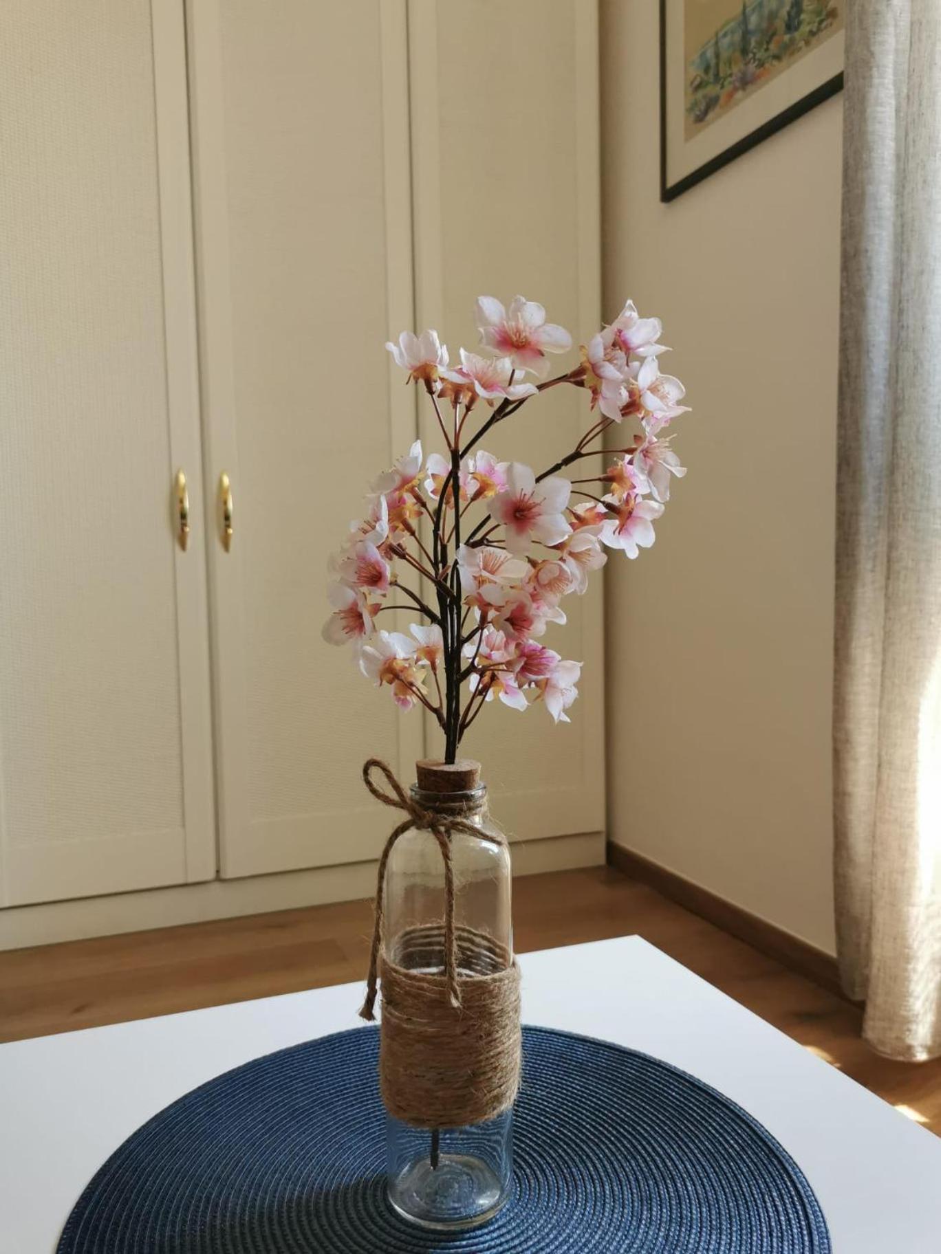 Apartament Oasis